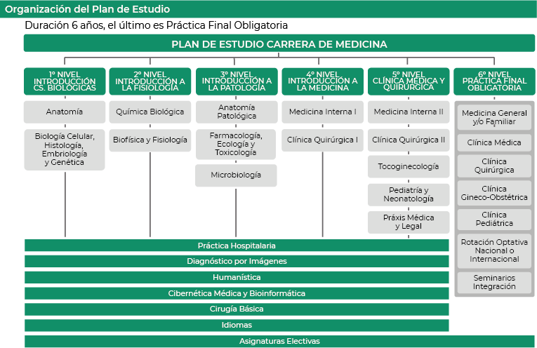 Plan de Estudio